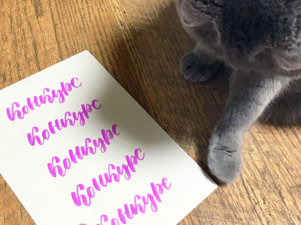 Конкурс коллекций «Встречаем бархатный сезон» | Ярмарка Мастеров - ручная работа, handmade