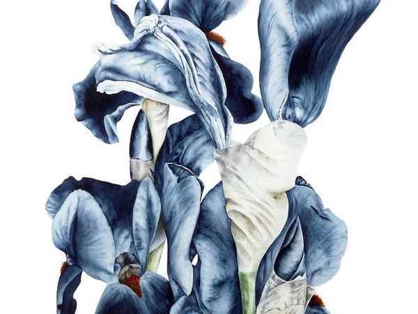 Воздушные цветы художницы Marie Burke | Ярмарка Мастеров - ручная работа, handmade