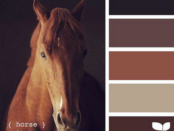 Colours Inspired by the World of Animals | Livemaster - handmade Colours Inspired by the World of Animals | Livemaster - handmade