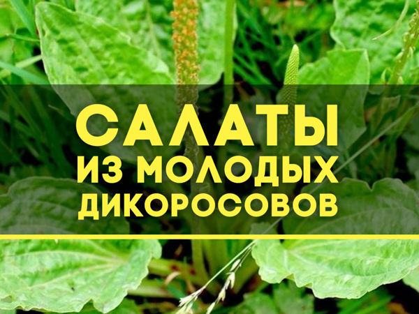 2 Часть | Ярмарка Мастеров - ручная работа, handmade
