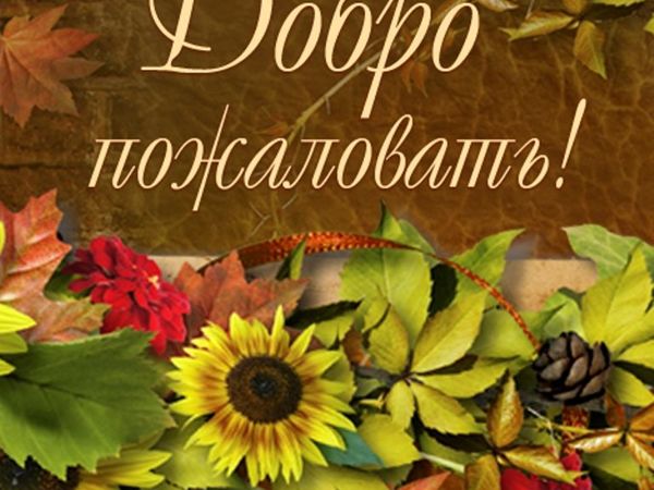 Осенние анонсы. Осенние анонсы. Осеннее образование. Анонсы осени. Осенняя распродажа дети.