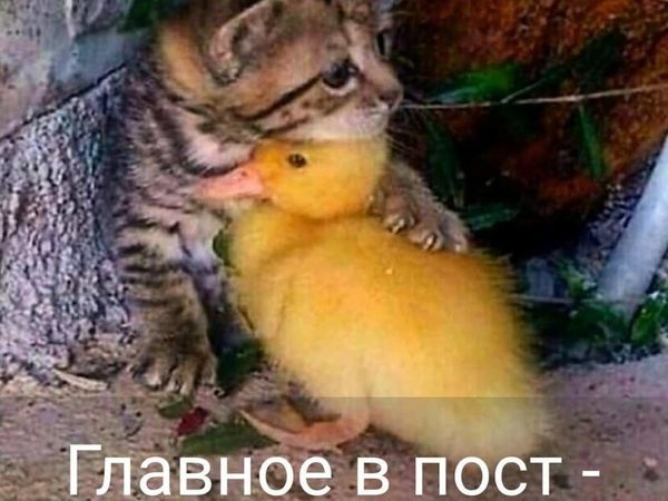 Главное в пост — не есть друг друга. (друзьям) | Ярмарка Мастеров - ручная работа, handmade
