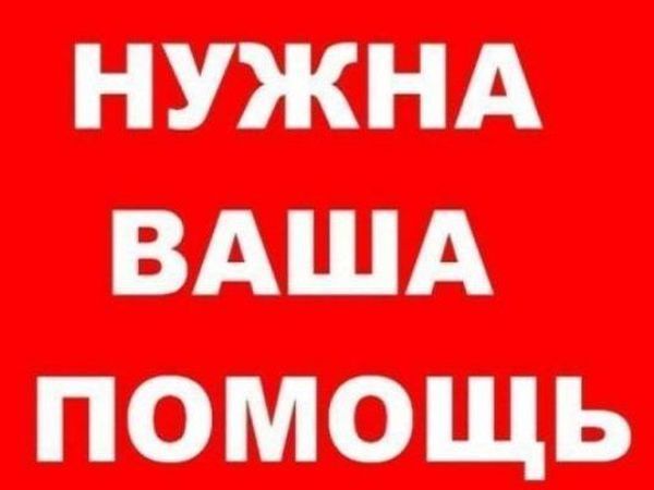 Очень нужна ваша помощь картинки