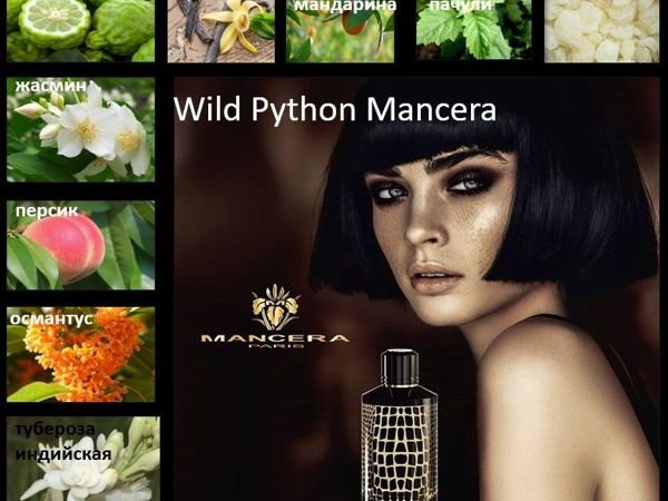 Новинка забронируйте прямо сейчас духи по мотивам Wild Python Mancera женские | Ярмарка Мастеров - ручная работа, handmade