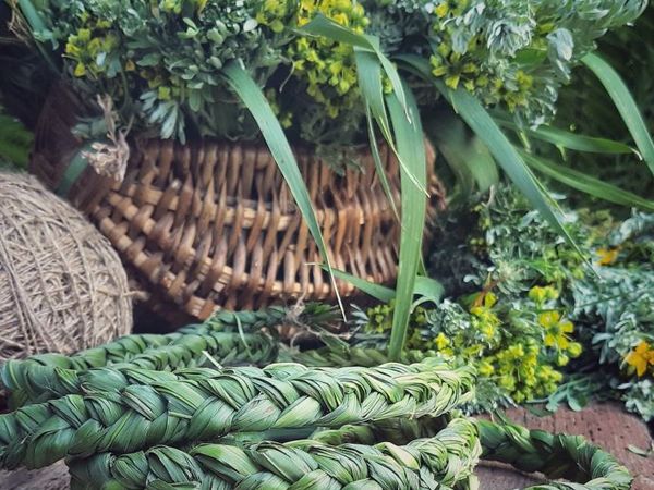 Зубровка душистая | Ярмарка Мастеров - ручная работа, handmade