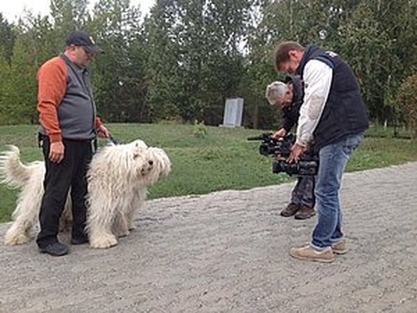 Передача