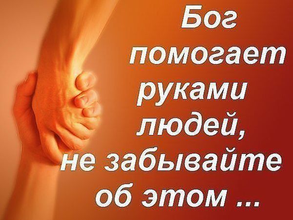 Аукцион!!! Пёсику нужна операция - четвероногому другу мастера ЯМ Татьяны!!! | Ярмарка Мастеров - ручная работа, handmade