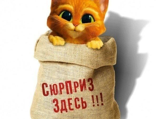 Аукцион «Кот в мешке» ! | Ярмарка Мастеров - ручная работа, handmade