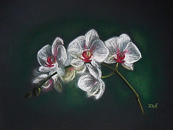 Tutorial on How to Paint Orchids with Pastel | Livemaster - handmade