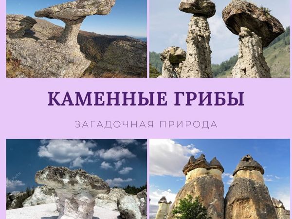 Каменные грибы. Удивительное в природе | Ярмарка Мастеров - ручная работа, handmade