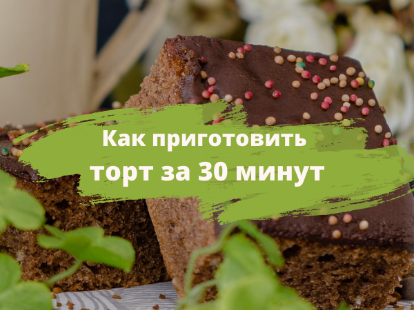 20 рецептов новогодних тортов