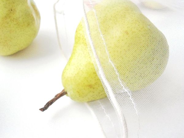 Миссия rostok.eco | Ярмарка Мастеров - ручная работа, handmade