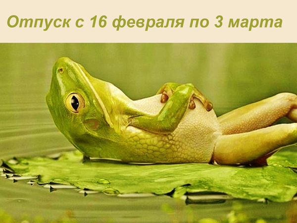 С 16 февраля по 3 марта 2017 года магазин в отпуске | Ярмарка Мастеров - ручная работа, handmade