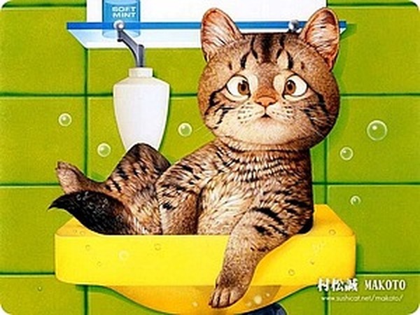 Кошки ( котята , коты , котики ) и прочие звери от Макото Мурамацу | Ярмарка Мастеров - ручная работа, handmade