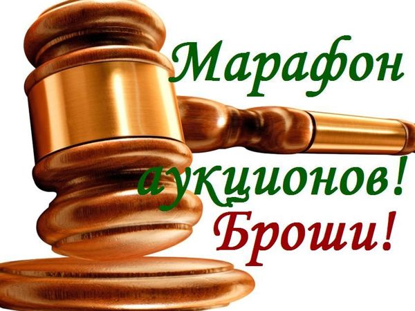 ЗАКРЫТ!!! Марафон аукционов! Аукцион №5- «Броши» | Ярмарка Мастеров - ручная работа, handmade