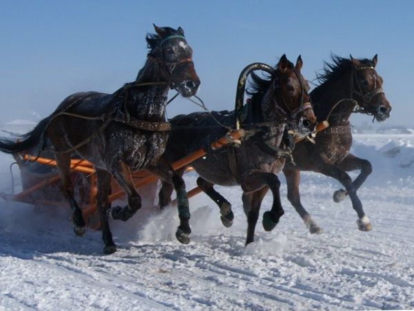 Вот мчится тройка почтовая По Волге-матушке зимой (русская народная песня) | Ярмарка Мастеров - ручная работа, handmade