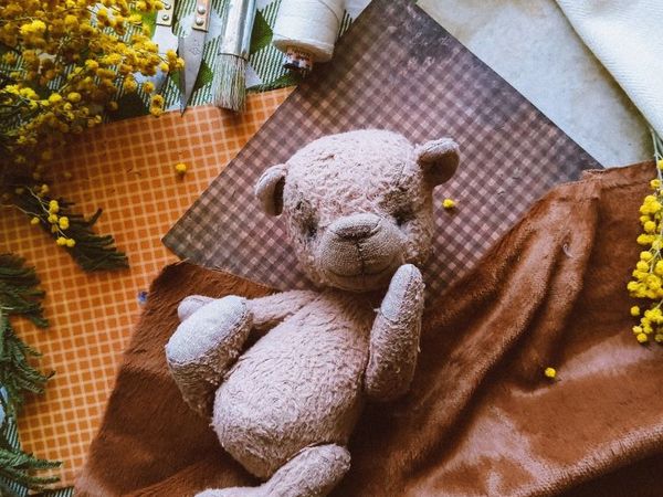 Первый мишка Тедди | Ярмарка Мастеров - ручная работа, handmade