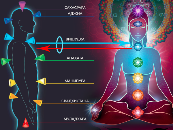 Раскрытие чакр и причины их блокировки — Свадхистана