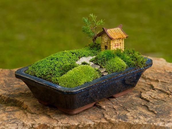 Миниатюрный сад на окошке | Ярмарка Мастеров - ручная работа, handmade