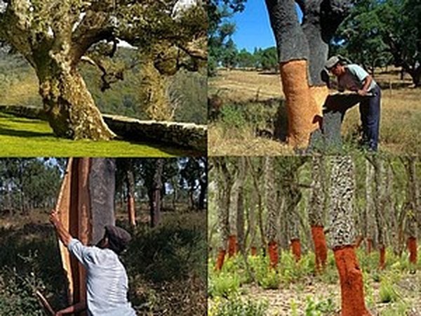 Что можно сделать из обыкновенной пробки | Ярмарка Мастеров - ручная работа, handmade