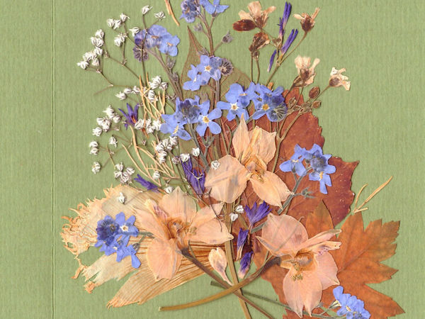 Creating Card in ''Pressed Floristry'' Technique | Livemaster - handmade Creating Card in ''Pressed Floristry'' Technique | Livemaster - handmade