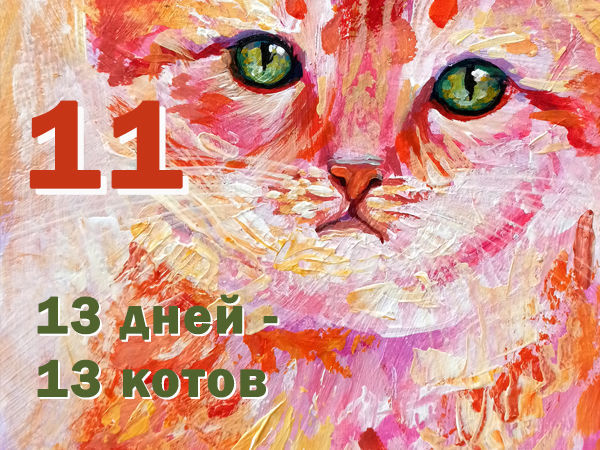 Кот 11