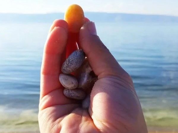Полупрозрачная байкальская галька с сакрального Ольхона | Ярмарка Мастеров - ручная работа, handmade