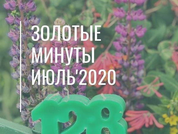 Золотые минуты июля 2020 | Ярмарка Мастеров - ручная работа, handmade Золотые минуты июля 2020 | Ярмарка Мастеров - ручная работа, handmade