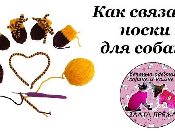 Как связать носочки для собаки | Ярмарка Мастеров - ручная работа, handmade