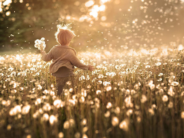Gold of the World in the Photos by Elena Shumilova | Ярмарка Мастеров - ручная работа, handmade
