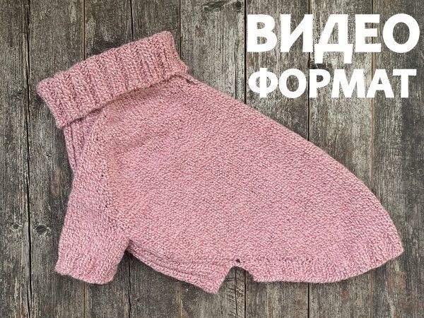 Вязание одежды для собак своими руками: подробная инструкция Форум Бульдогоманов – Английский бульдог Филя