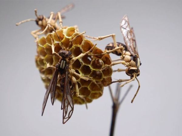 Bamboo Insects by Noriyuki Saitoh | Livemaster - handmade