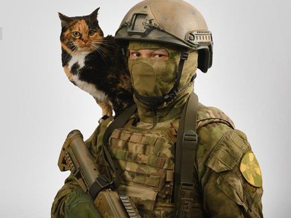 Спецназ и котики | Ярмарка Мастеров - ручная работа, handmade