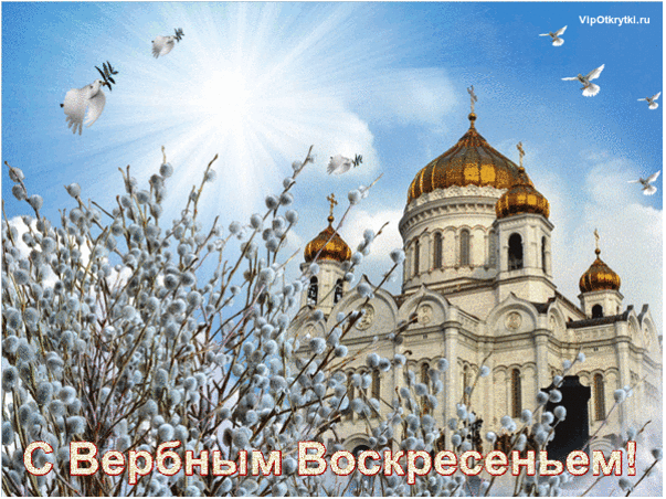 Маленькому Степочке нужна помощь! Уделите минутку, загляните в тему! | Ярмарка Мастеров - ручная работа, handmade