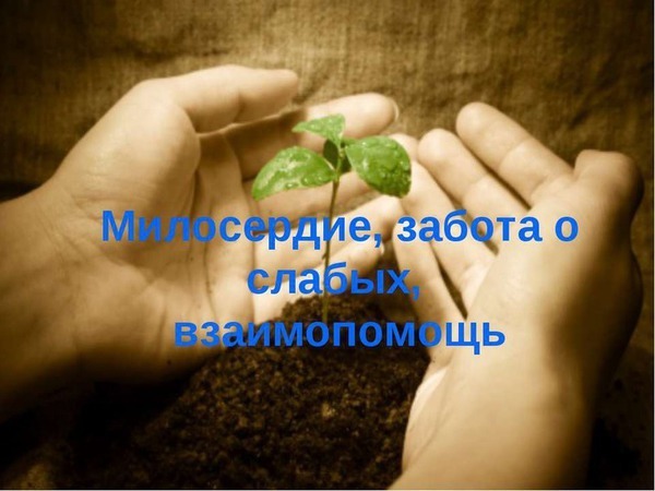Приюту