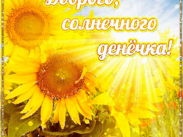 Открытки солнечного дня другу