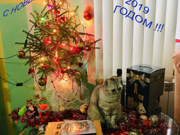 с Новым Годом!!! | Ярмарка Мастеров - ручная работа, handmade