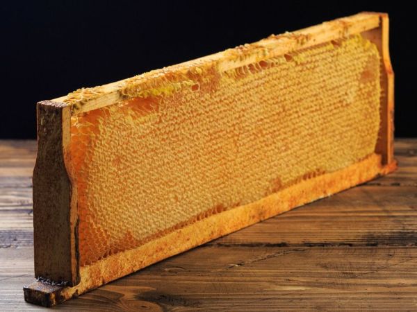 Сотовый мед во всех возможных видах | Ярмарка Мастеров - ручная работа, handmade