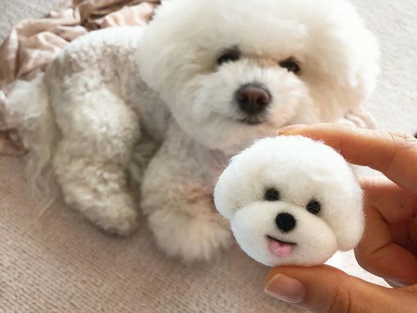 Korean Artist Makes Adorable Pet Brooches: 25 Photos That Will Melt Your Heart | Livemaster - handmade