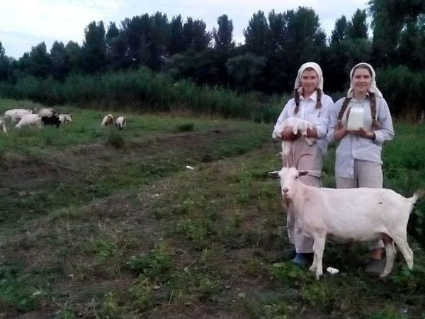 Моё личное восстановление ЖКТ | Ярмарка Мастеров - ручная работа, handmade Моё личное восстановление ЖКТ | Ярмарка Мастеров - ручная работа, handmade