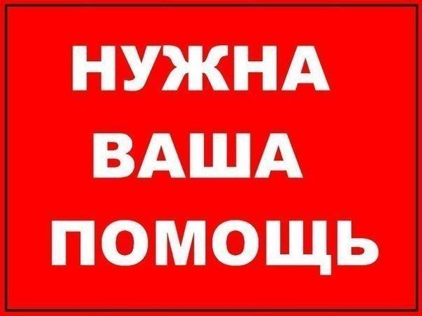 СБОР ЛОТОВ на благотворительный аукцион в помощь коту Тому | Ярмарка Мастеров - ручная работа, handmade