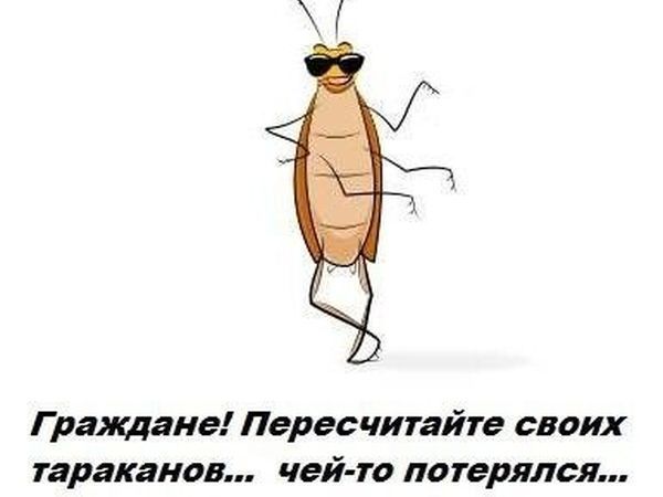 Открытки ручной, картинки с тараканом прикольные