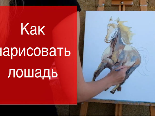 Как рисовать лошадь. Инструкция по рисованию карандашом