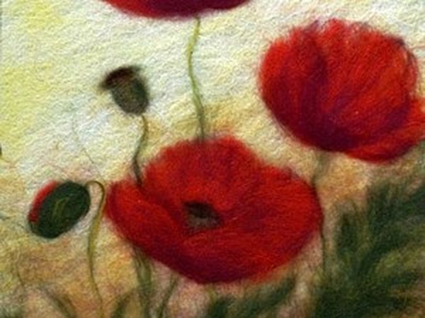 Рисунок шерстью на трикотаже