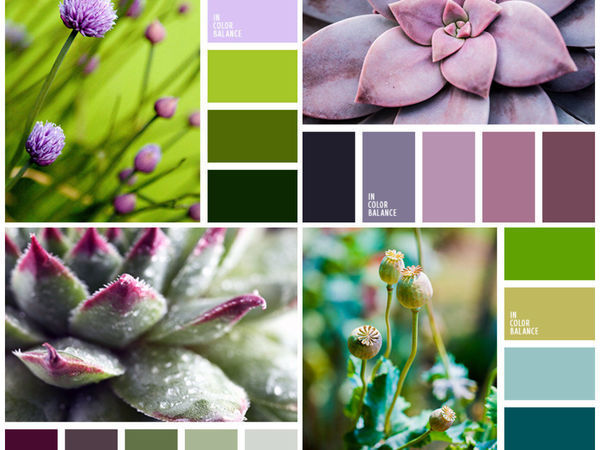 сочетание ст. чка че пишется без мягкоо знака. чк чн чт щн нч правило таблица. чк чн нч щн правило. сочетание чк чн.