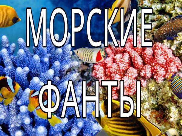 Закрыт Аукцион