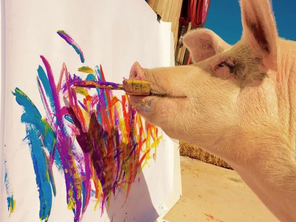 Pigcasso Piggy. The Only Artist Pig in the World | Livemaster - handmade