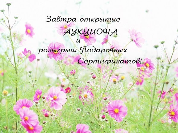Завтра открытие Аукциона с розыгрышем Подарочных Сертификатов! | Ярмарка Мастеров - ручная работа, handmade