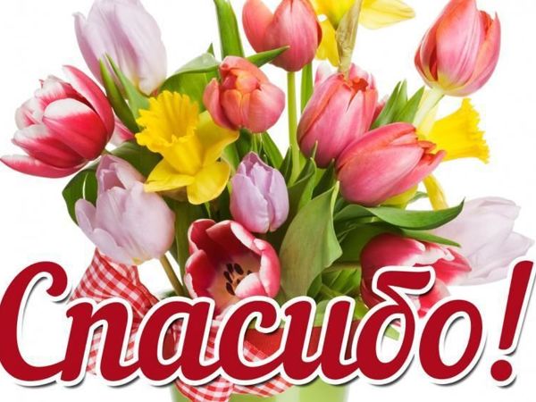Новая коллекция! Большое спасибо за поддержку! | Ярмарка Мастеров - ручная работа, handmade