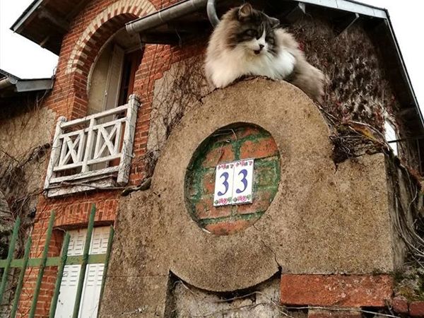 С Рождеством всех, кто празднует! Для вас — виды зимней Луары! | Ярмарка Мастеров - ручная работа, handmade